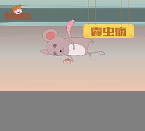 科普視頻:可怕的豬囊尾蚴?。? style=